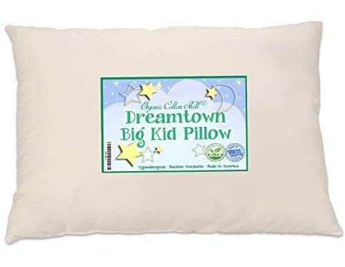 Dreamtown Kids Large Size Kids Pillow (Big Kid Pillow Recommended for Ages 6-8) with a Soft Organic Cotton Shell 16x22 (13x19 After Filled), Made in USA