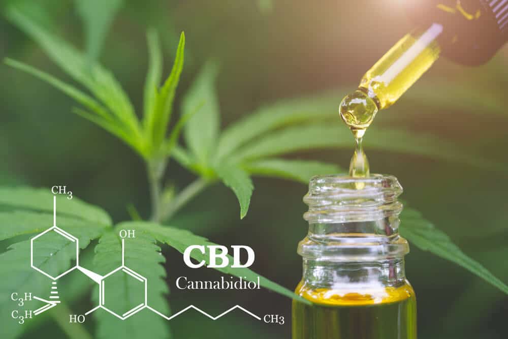 CBD elements in Cannabis, Hemp oil. CBD as over-the-counter sleep aids concept.