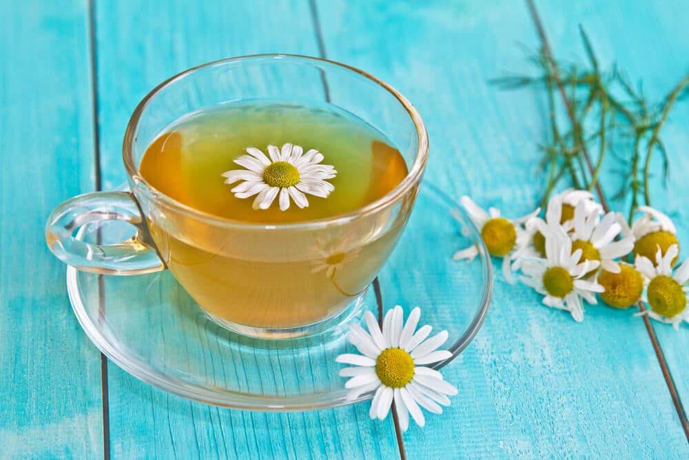 Chamomile tea. Camomile flower and cup of camomile tea.
