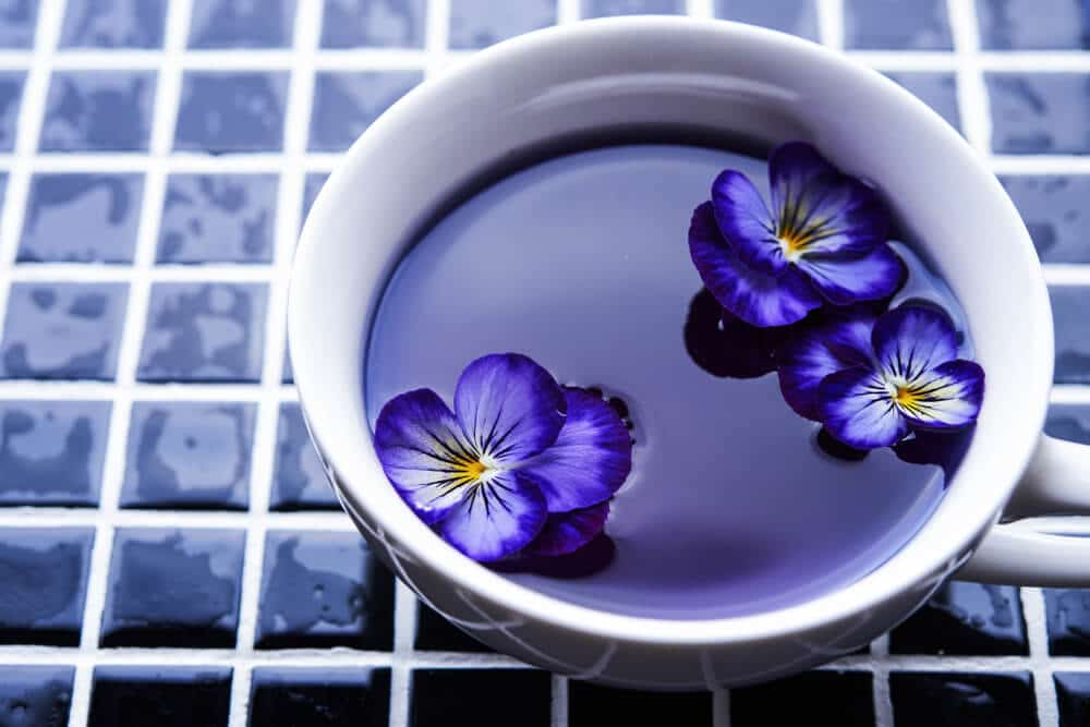 cup of butterfly pea tea and viola flowers
