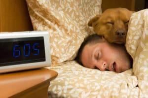 Man and his dog comfortably sleeping in after the man tries Vicks NyQuil for Sleep