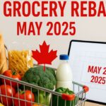 $500 Grocery Rebate 2025: Who Qualifies, How Much You’ll Get, and When to Expect Payment
